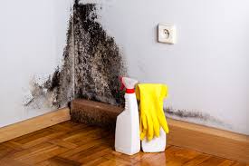 Best Mold Odor Removal Services  in Chardon, OH